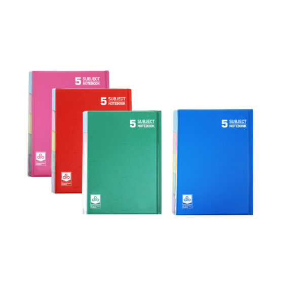 Plastic 60gsm Line 160 sheets 21 x 27.5 cm (pack of 2)