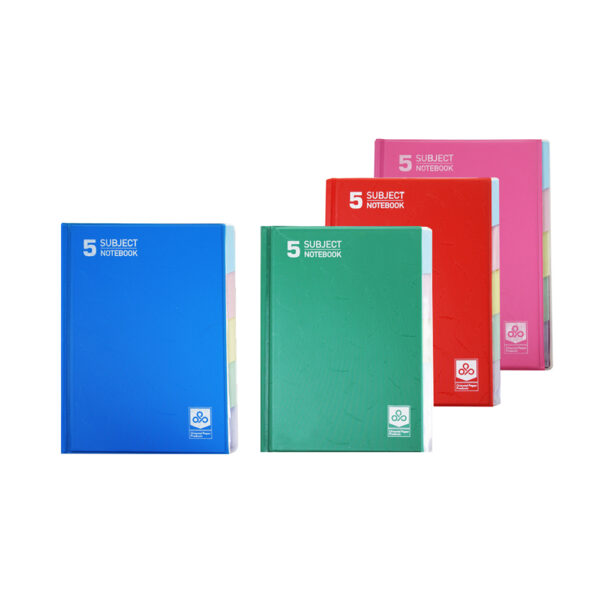 Plastic 60gsm Seyes 160 sheets 21 x 27.5 cm (pack of 2)